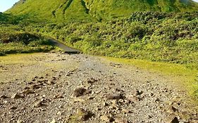 Au Pied De La Soufriere